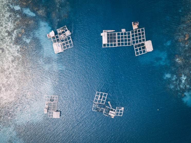 수산양식기능사 Craftsman Aquaculture 수산양식기능사 Craftsman Aquaculture