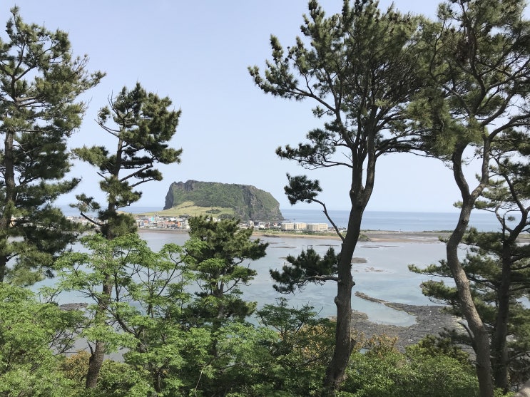  [제주동쪽여행] 아름다운 성산일출봉을 한눈에 볼 수있는 제주 동쪽 오름, 바다 산책로 - 식산봉