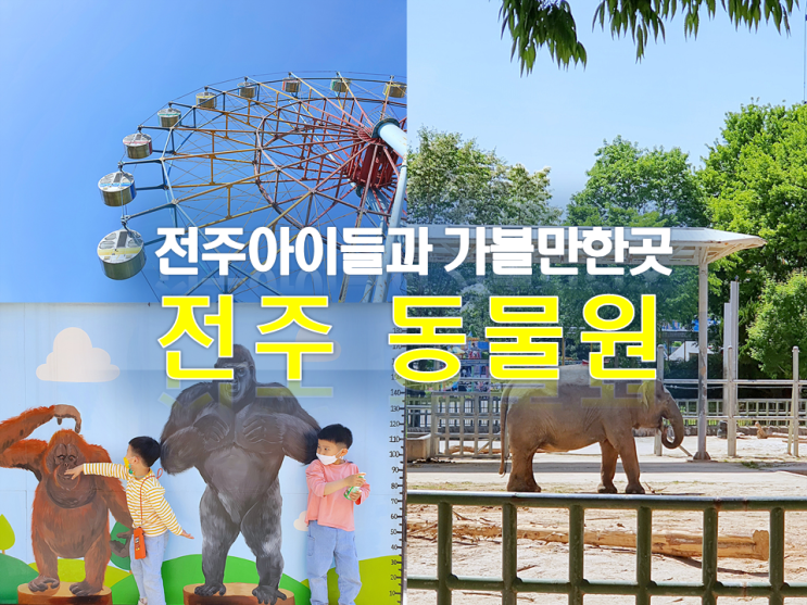  전주동물원 드림랜드 사자 코끼리 호랑이 전주가볼만한곳