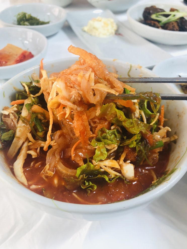  속초 물회 맛집 맛있는녀석들 방문 진양횟집!