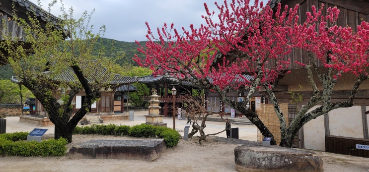  양산 통도사 부산 근교 나들이 드라이브