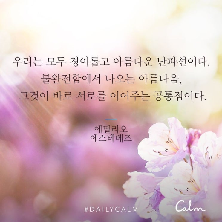  [명상기록] 5/11 Daily Calm 불완전함의 미학