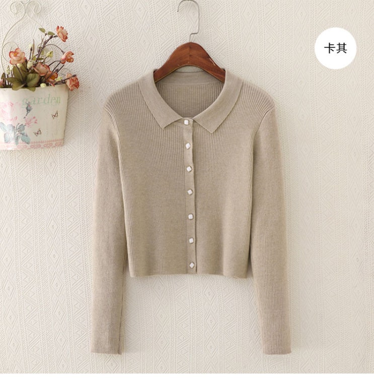 인기있는 POLO 여성 봄가을 카라넥 슬림 스키니핏 긴 소매 얇은 쁘띠 추천해요 인기있는 POLO 여성 봄가을 카라넥 슬림 스키니핏 긴 소매 얇은 쁘띠 추천해요