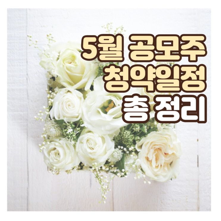  5월 공모주 청약일정 총정리