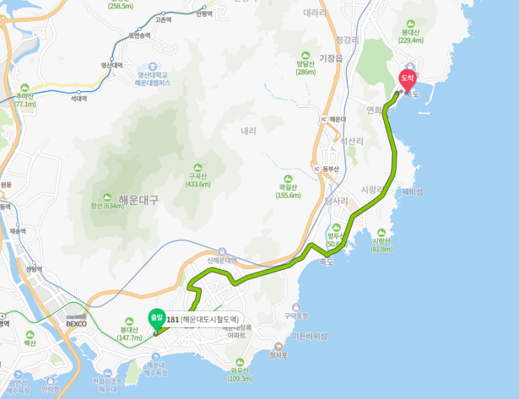  [부산 맛집] 기장 연화리 해녀촌: 전복죽