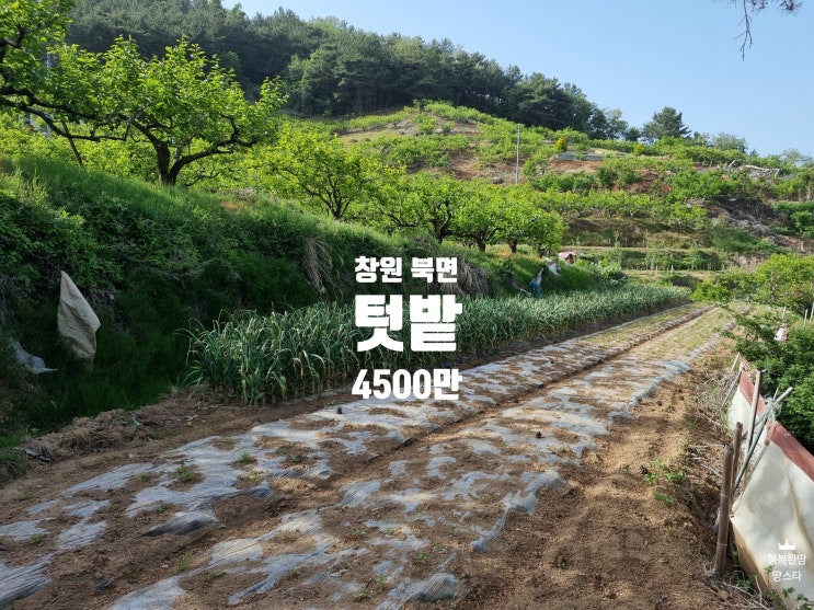 창원 북면 텃밭용 땅 매매, 소액투자 큰 만족(129평)