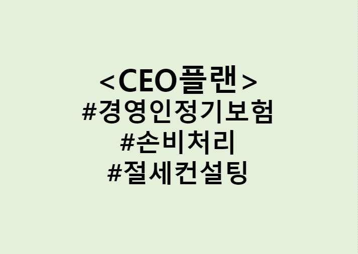  법인사업자 세율과 세금 / 100% 손비처리, 비용처리가 가능한 경영인정기보험 가입하기 (Feat. CEO플랜, 절세컨설팅, 세금컨설팅)