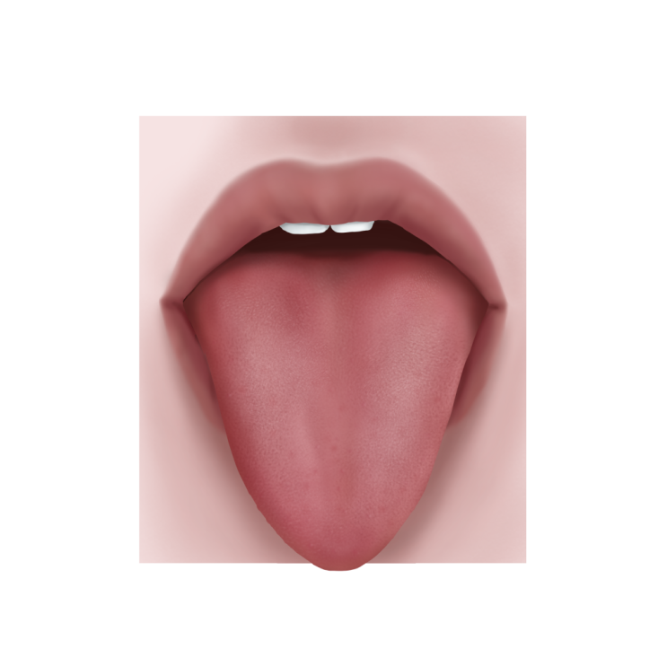 혀로 보는 건강, 혀색깔, 설태