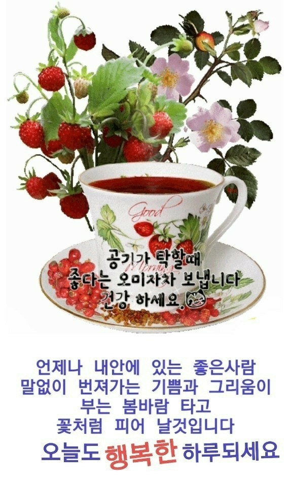  아침에 참좋은글 올려봅니다