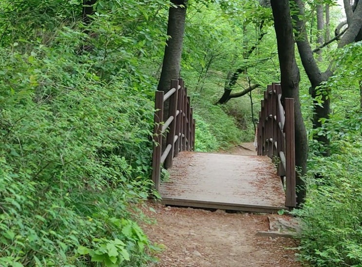 마포구 가볼만한곳 성미산 성산 성산근린공원 동네산책로