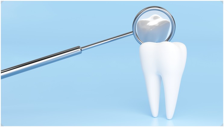 치아 크랙 치료? 14년 차 치과의사가 설명합니다.
