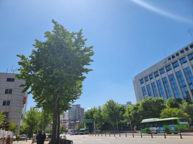  [소소한일상]  먹는게 일상인 쏘주영의 데일리 기록