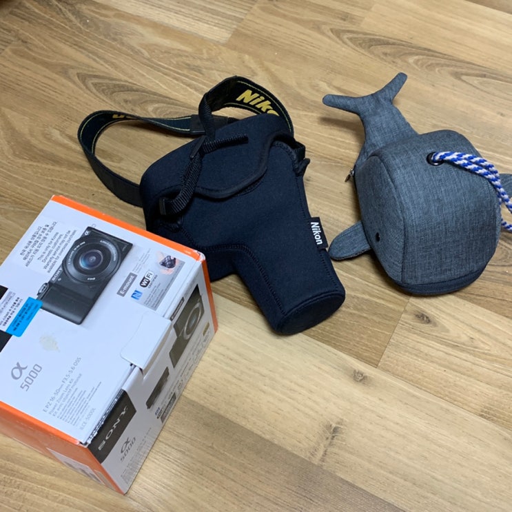 소니 미러리스 A5000, 니콘 D50, 캐논 미러리스 EOS M100 사용해본 입문자 후기 소니 미러리스 A5000, 니콘 D50, 캐논 미러리스 EOS M100 사용해본 입문자 후기