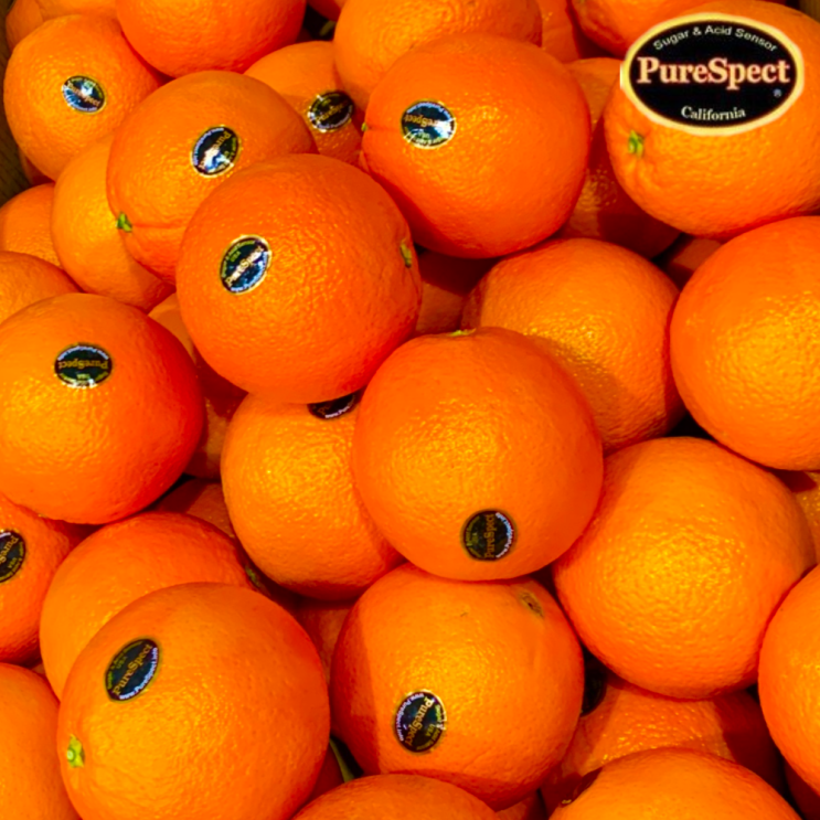인기 많은 방씨아들 퓨어스펙 블랙라벨 오렌지 고당도 오렌지, 20과(S/3.2kg내외) 추천합니다
