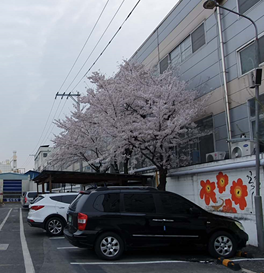 중국 주재원 일기 Day 449_계열사 공장출근 19일째 중국 주재원 일기 Day 449_계열사 공장출근 19일째