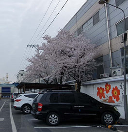 중국 주재원 일기 Day 449_계열사 공장출근 19일째