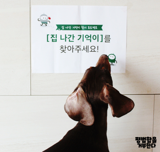  집나간기억이 치매예방영양제 브레인하이업으로 기억력좋아지는법까지 찾아주기.