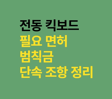  전동 킥보드 단속 범칙금(무면허, 인도주행, 음주운전, 헬멧 미착용)