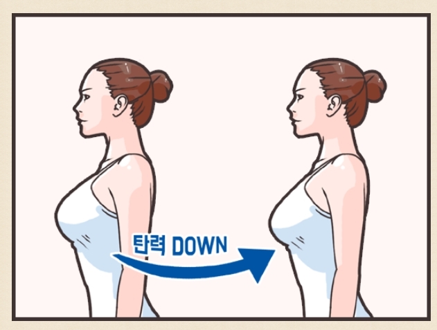  [ 헬린이 운동루틴 ] 봉긋한 가슴? 야너두 할 수 있어 ! 헬린이 여자 가슴운동 루틴 공유