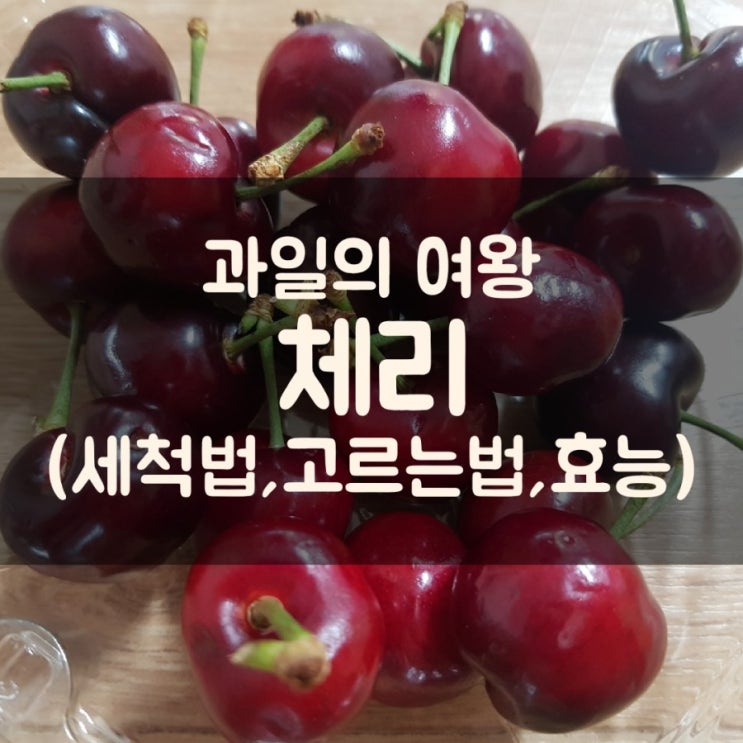  체리 세척법, 좋은체리 고르는법, 효능, 칼로리 알아봤어요