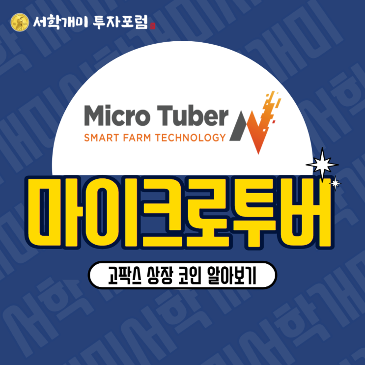  고팍스 상장 코인 마이크로투버(MCT) 시세, 호재, 전망