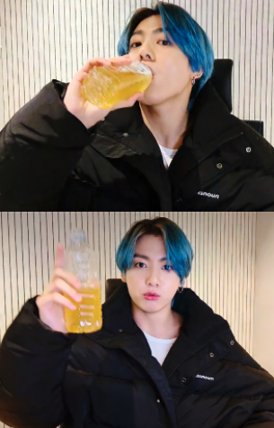  관리하는게 아니라 관리받는 거라고요! 롯데칠성 브루잉 콤부차