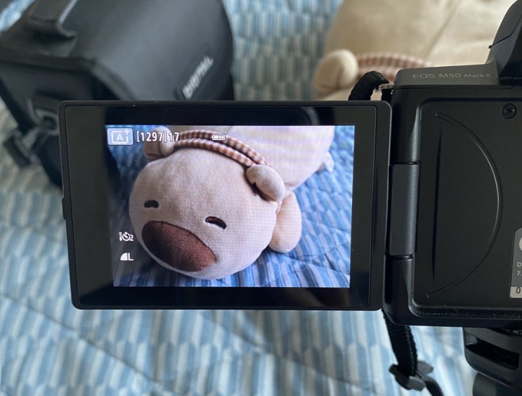  [카메라] 캐논 카메라 정품등록 이벤트블루투스 리모컨 연결하기  •͈ᴗ•͈