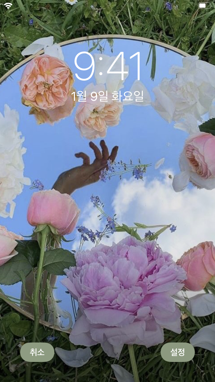 3d 렌더링된 그림인 핑크 장미 더미, 배경에 격리된 150% 장미 풍선의 3d 그림, 고화질 사진 사진, 풍선 배경 일러스트 및 사진  무료 다운로드 - Pngtree, image size:750x1334