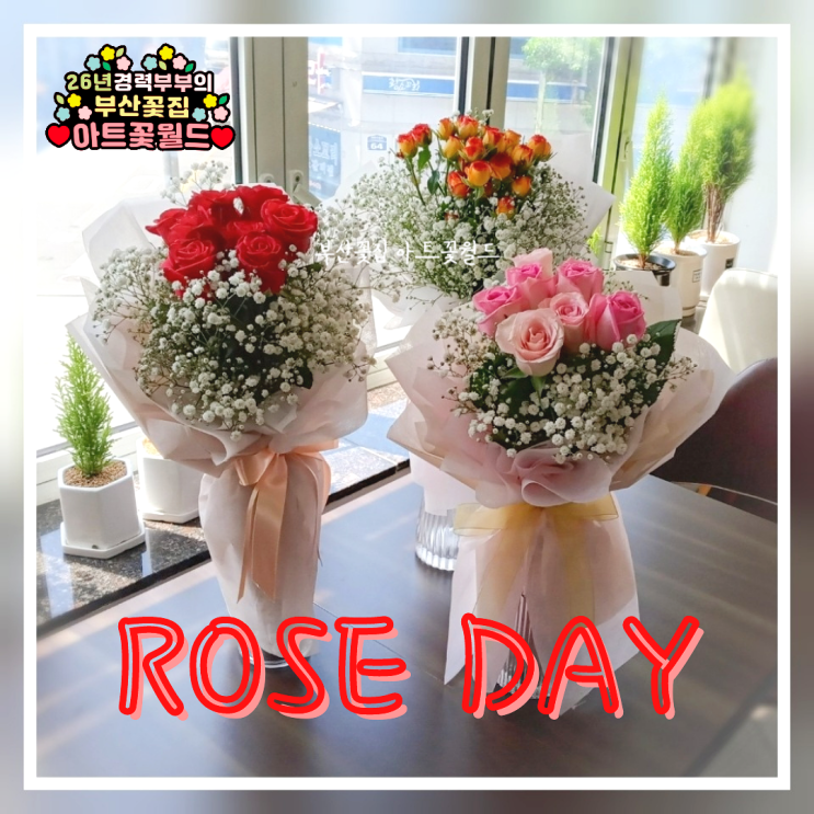  [부산 사상 꽃집] 5월 14일 로즈데이 선물 꽃다발 모음! 26년 경력 아트꽃월드
