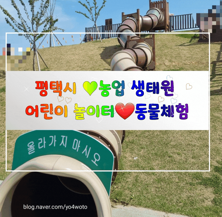  평택농업생태원 모래놀이 동물체험