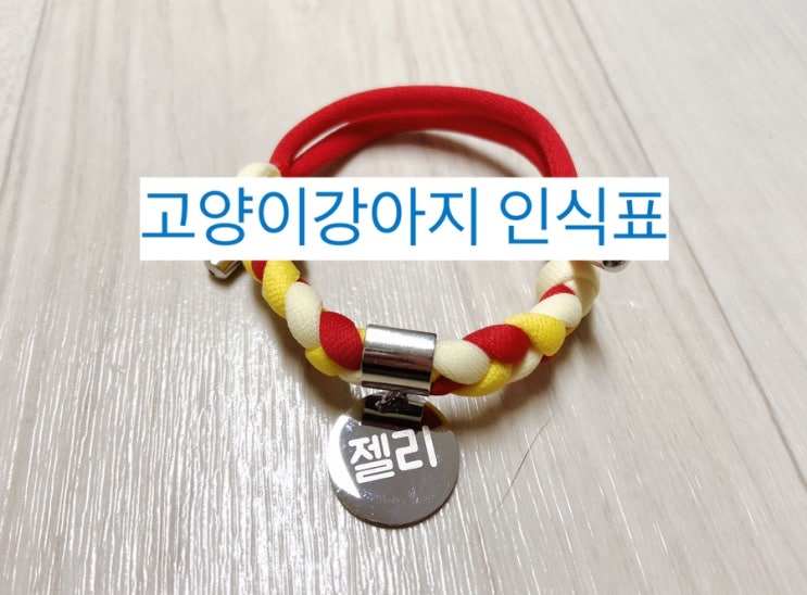  [아이디어스 치타박스 고양이목걸이] 알록달록 고양이강아지인식표 #내돈내산