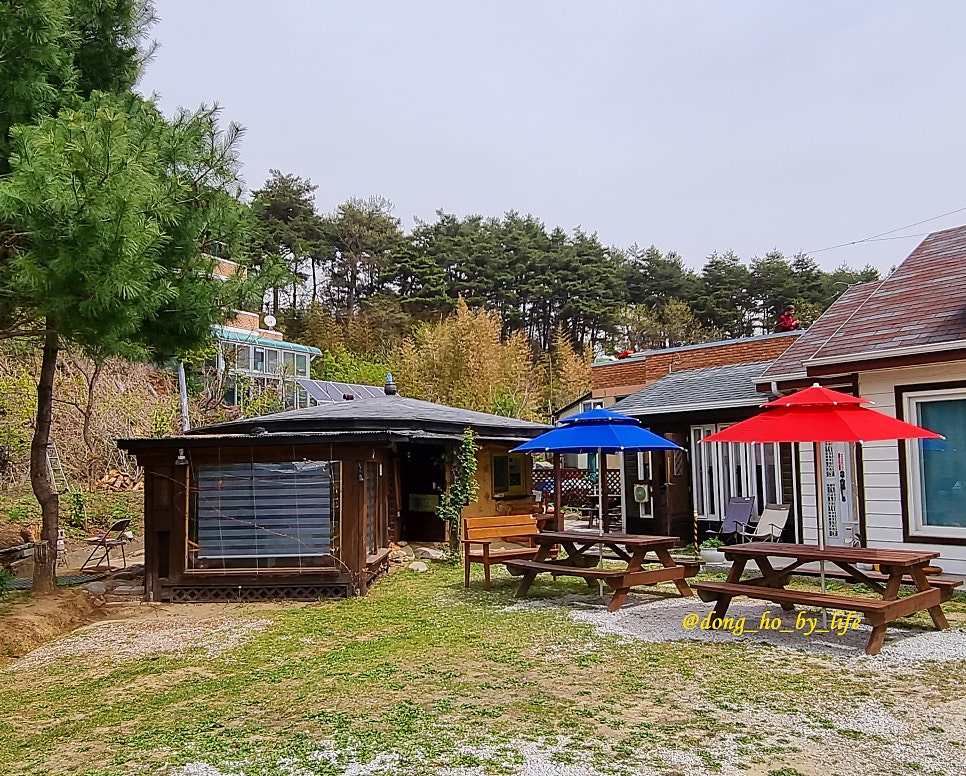 돌체빠니엔떼 사진 1