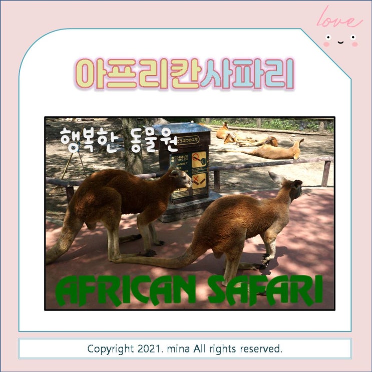  일본큐슈여행 - 벳부 아프리칸 사파리 (후쿠오카에서 가까운 동물원) 동물들이 행복한 곳! 아이랑 해외여행 추천지