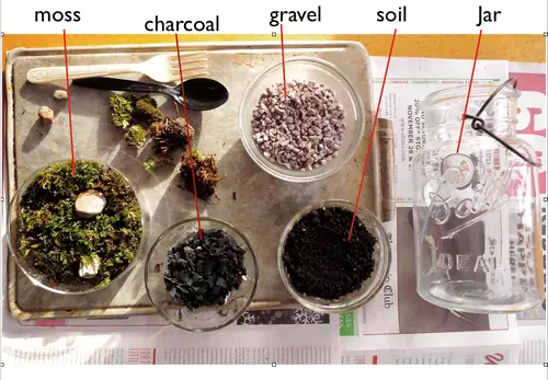 간단히 누구나 DIY 테라리움 만들기 아이디어