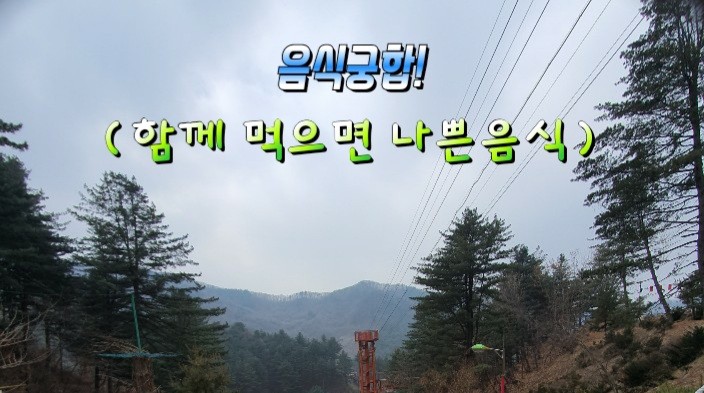 음식 궁합 (함께 먹으면 나쁜 음식!) 음식 궁합 (함께 먹으면 나쁜 음식!)