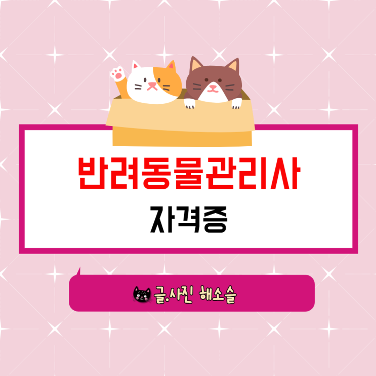  반려동물관리사 자격증 도전해볼까요!