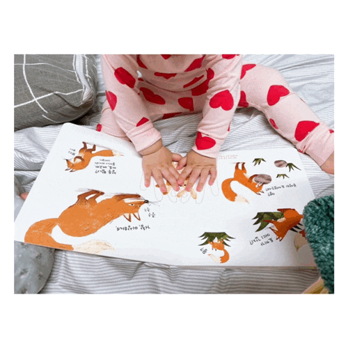 15개월 아기가 좋아하는 책 BEST3(토끼일까, 노부영베이비, 앤서니브라운)와 잠자리 독서