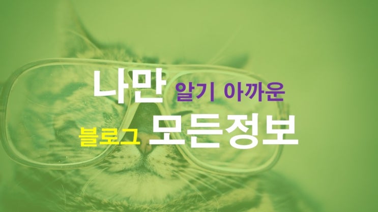  블로그 운영 꿀팁 한방에 정리(Feat. 블린이)