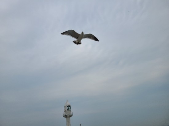  [210513] 편협된 생각_멍때리다가 끄적거리는 글