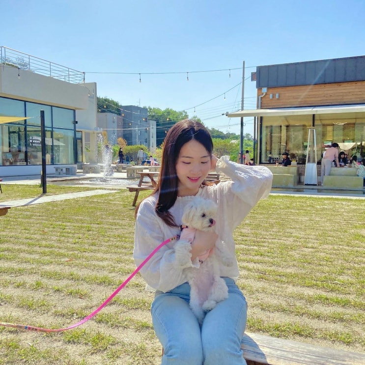  김제 야외  테라스 카페 반려견 동반 가능 ! 분위기 맛집 아울 카페 owl cafe
