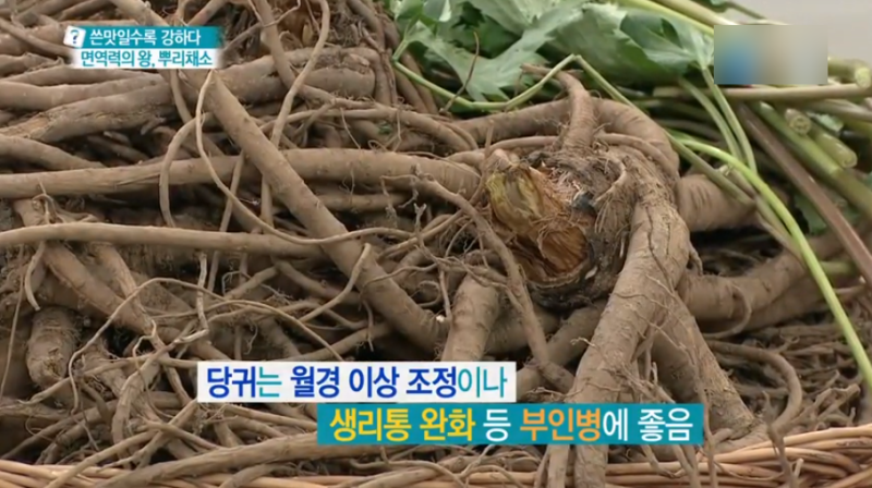 피부미백, 피깨끗하게, 피생산..참귀효능,참귀,개당귀구분법 2