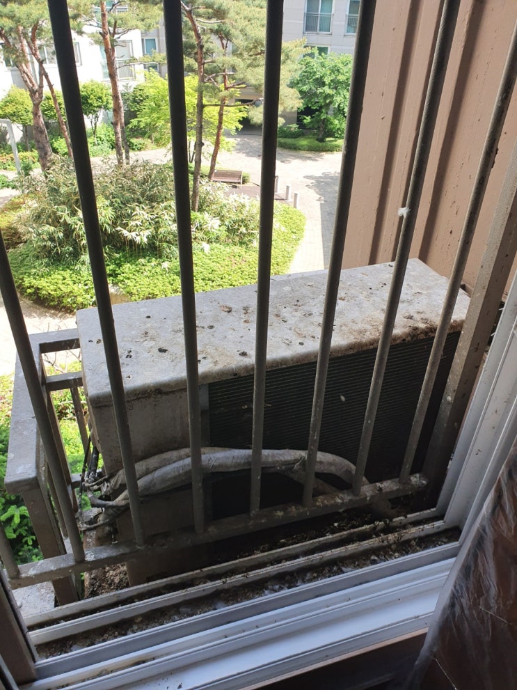 실외기실 비둘기 똥청소 서대문 DMC아이파크 아파트