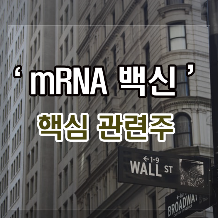 mRNA 백신 관련주(셀루메드, 서린바이오) 주요사항 알아보기