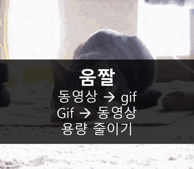  ezgif로 [초간단] gif 용량 줄이기, gif동영상변환,  움짤 용량 줄이기