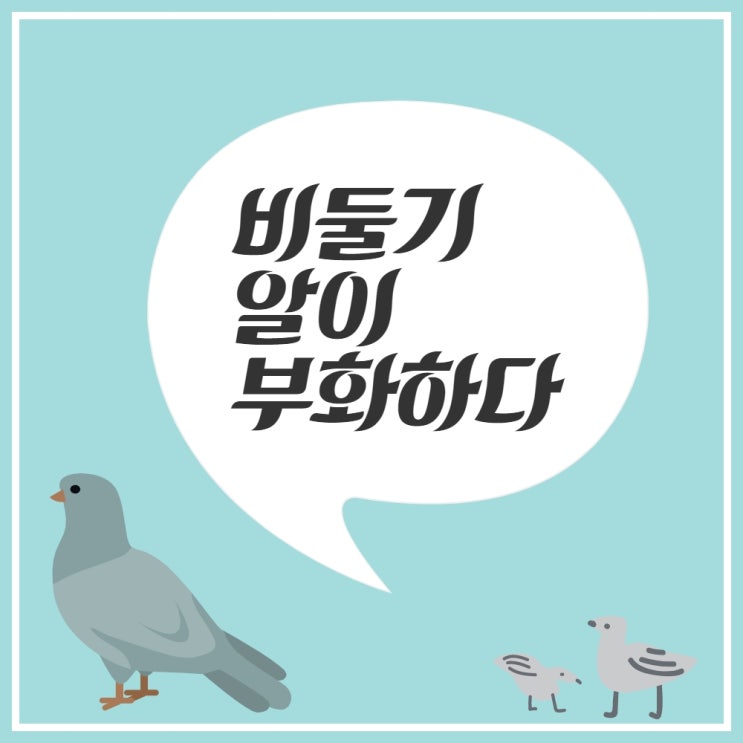  비둘기 새끼가 태어났어요! 이지테크의 인자기(빈센조)가 되어줘~