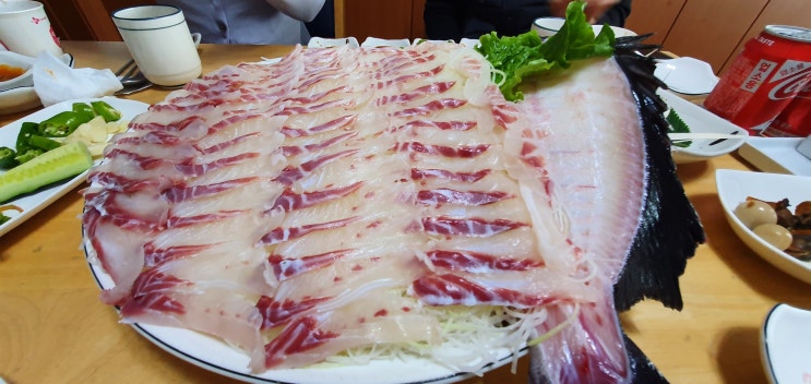  다금바리 보다 돌돔 갯돔 (제주그랜드조선 방문기)