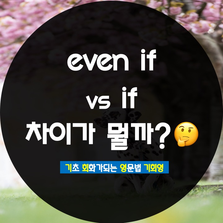  even 뜻 특징 even if 와 if 차이는? - 기회영