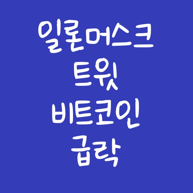  일론머스크 트윗과 비트코인의 급락