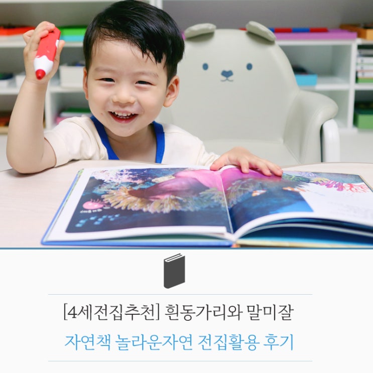  [세이펜호환책] 자연책 놀라운자연 '흰동가리와 말미잘' 전집활용