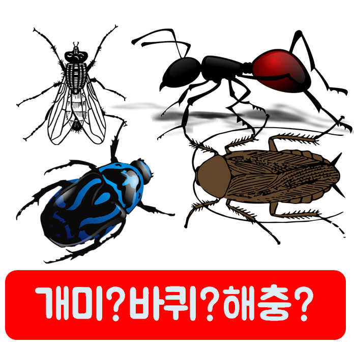 잡스 다이소 약국 개미약 퇴치제 개미퇴치법 바퀴벌레약 여왕개미박멸 유령개미 아파트 집....